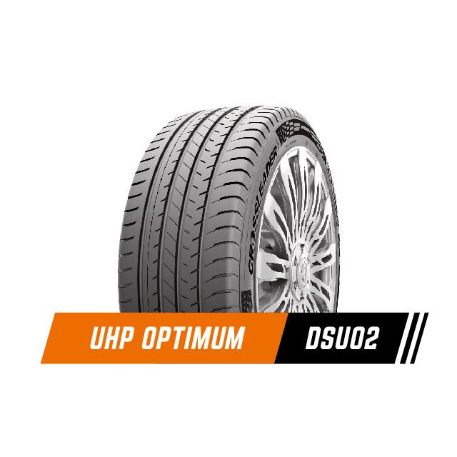 245/45R17 99 W XL DSU02